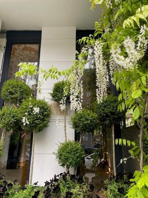 Ab Residences -Cihangir Luxury Sapphire Apartment Istanbul Eksteriør billede